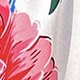 彩色