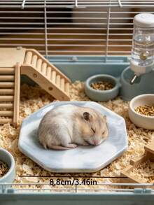 1 Durable Stable Random Texture Easy Clean Cooling Pad For Hamster Summer Small Animal Cage Decoration Accessory For Dwarf Hamster - View 12