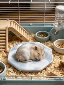 1 Durable Stable Random Texture Easy Clean Cooling Pad For Hamster Summer Small Animal Cage Decoration Accessory For Dwarf Hamster - View 9