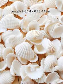 100/200/300 G 海洋風白色條紋 DIY 地中海風風鈴相框裝飾配件 魚缸造景 手作紀念品 海洋系列居家牆飾 海灘主題海岸手工熱搜海邊禮物 - 多色 - 查看 2
