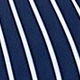 Blue and White