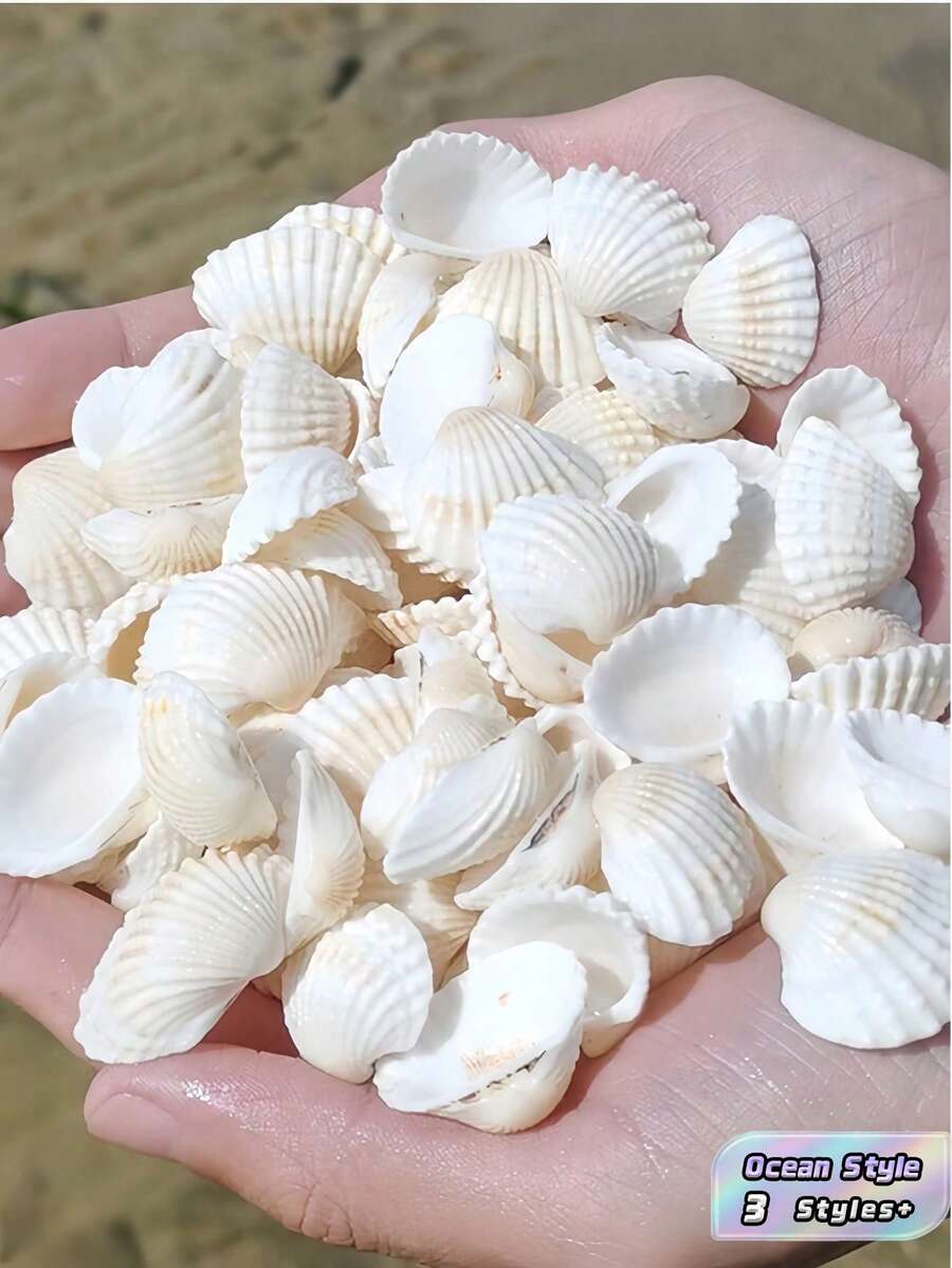 100/200/300 G 海洋風白色條紋 DIY 地中海風風鈴相框裝飾配件 魚缸造景 手作紀念品 海洋系列居家牆飾 海灘主題海岸手工熱搜海邊禮物 - 多色 - 查看 1