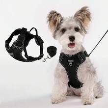 (2件組) 小型犬胸背帶附牽繩組，格子拼接裝飾，可調節反光柔軟網布透氣寵物胸帶，方便散步使用 - 彩色 - 查看 24