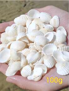 100/200/300 G 海洋風白色條紋 DIY 地中海風風鈴相框裝飾配件 魚缸造景 手作紀念品 海洋系列居家牆飾 海灘主題海岸手工熱搜海邊禮物 - 多色 - 查看 9