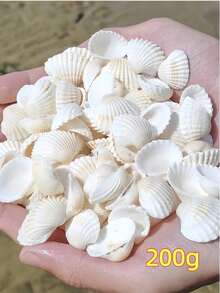 100/200/300 G 海洋風白色條紋 DIY 地中海風風鈴相框裝飾配件 魚缸造景 手作紀念品 海洋系列居家牆飾 海灘主題海岸手工熱搜海邊禮物 - 多色 - 查看 10