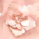 Sugar Pink