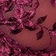 Violet Purple