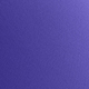 Bold Plum