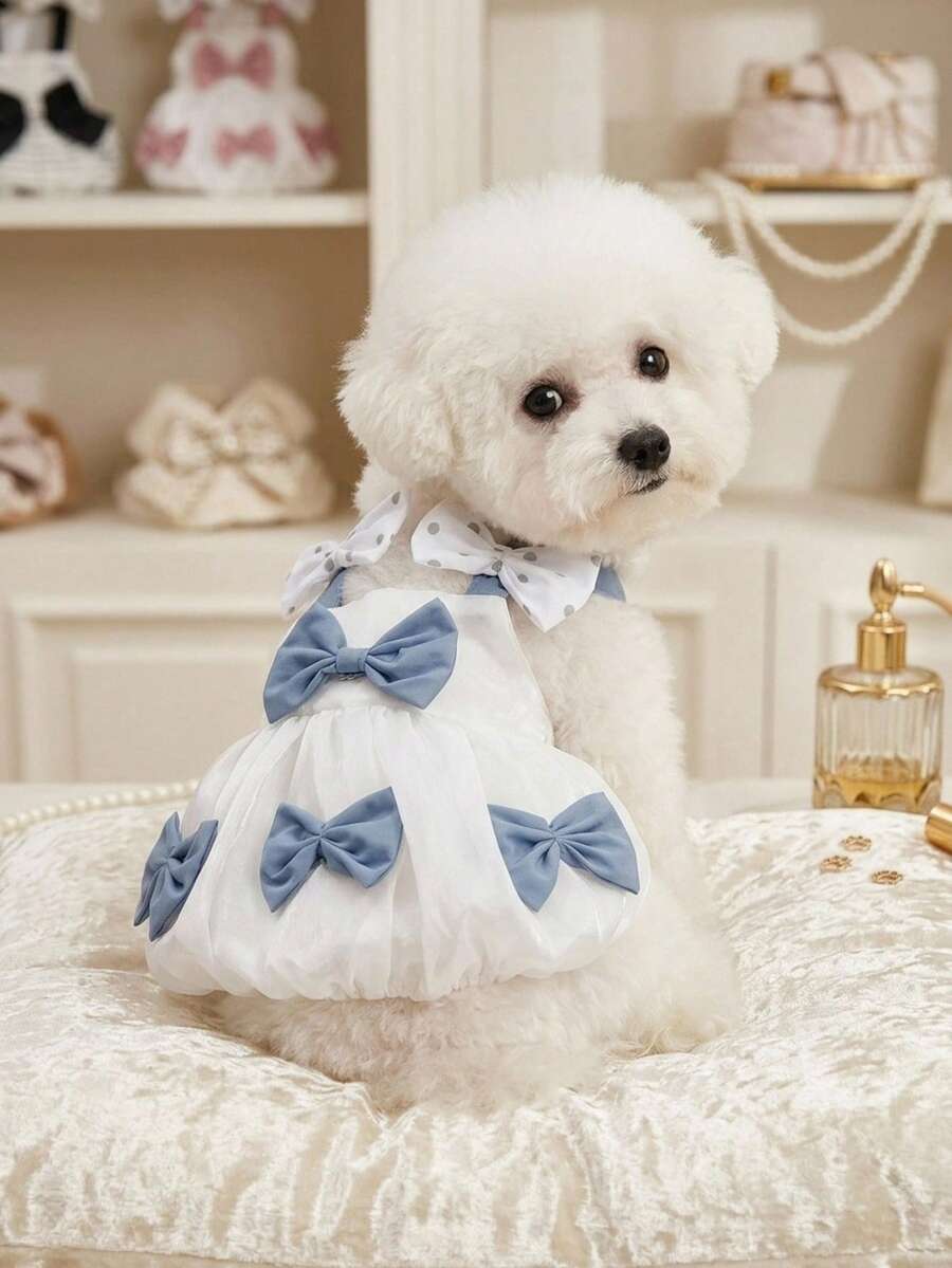 PETSIN 寵物夏季衣物 貓咪馬爾濟斯薄款裙子 適合小型犬 熊犬 博美 約克夏 - 彩色 - 查看 1