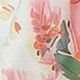 彩色