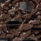 Mocha Brown
