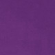 Violet Purple