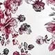Red Violet