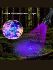 1Pc UV Violet Light Flashlight, Money Detector, Pet Urine &Fluorescent Agent Checker - متعدد الألوان - مشاهدة 5