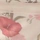 杏色