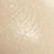 Apricot,