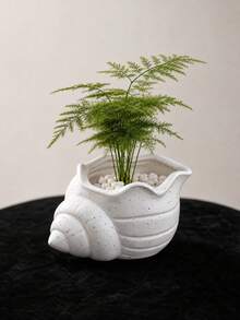 Haus Hana 1PC Nordic Minimalist 3D Printed Conch Shell Planter - Indoor Succulent Plant Pot, Scandinavian Aesthetic Decor, Healthy Root Protection Container, Perfect For Ferns Cacti Small Plants,Ideal For Office Desk Windowsill Bedroom - multicolor - View 3