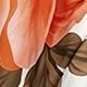 彩色