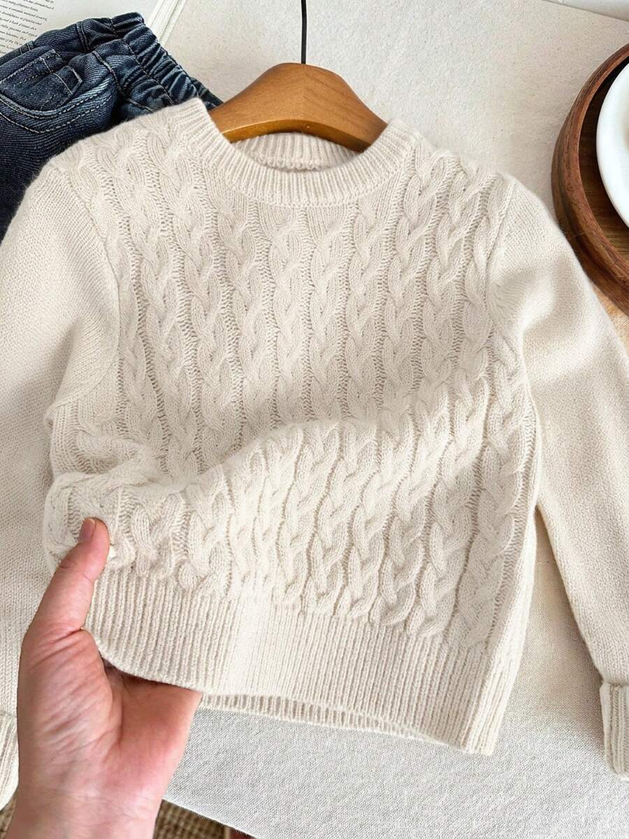 SHEIN LMoss Kids Young Boy Solid Color Crew Neck Long Sleeve Cable Knit Versatile Sweater - White - View 1