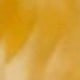 多色5
