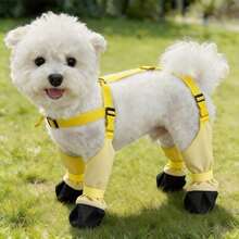 1pc Dog Outdoor Pants, Dust-Proof Leash Pants For Spring And Summer, Lightweight Four-Leg Pants With Shoes For Small Dogs - Multicolor - View 10