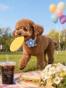 PETSIN 1 Stück Frühlings-Blumen-Haustierhalsband - Weicher Baumwollstoff mit Gänseblümchen-Muster, 3D-gestrickte Blume mit Strass-Akzent, verstellbare Schnellverschluss-Schnalle mit Glocke, frische Cottagecore-Ästhetik, perfekt für Picknicks und Spaziergänge Outdoor, passend für kleine Hunde und Katzen - Verschiedenfarbig - Übersicht 6