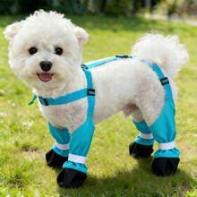 1pc Dog Outdoor Pants, Dust-Proof Leash Pants For Spring And Summer, Lightweight Four-Leg Pants With Shoes For Small Dogs - Multicolor - View 9