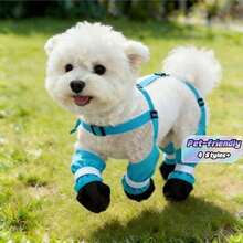 1pc Dog Outdoor Pants, Dust-Proof Leash Pants For Spring And Summer, Lightweight Four-Leg Pants With Shoes For Small Dogs - Multicolor - View 2