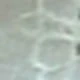 Albaricoque