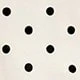 Aprikot