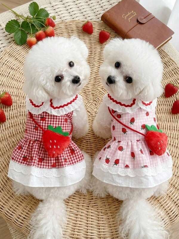 PETSIN 1個 新作チェック柄いちご ペットドレス、薄手で通気性のある夏服 小型犬 猫 マルチーズ ヨークシャー