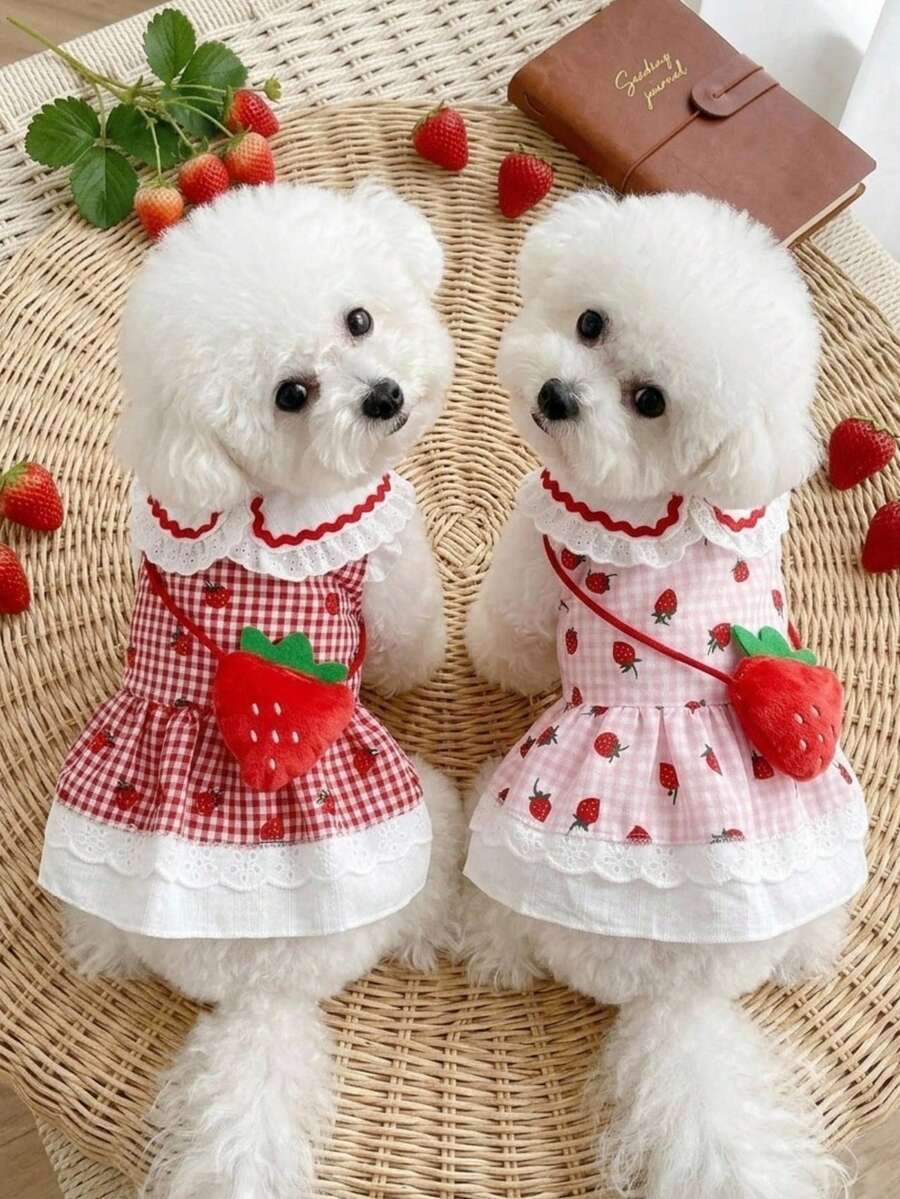 PETSIN 1件新款格子草莓宠物连衣裙,轻薄透气夏季服装,适合小型犬猫、马尔济斯犬、约克郡犬等。 - 彩色 - 查看 1