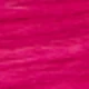 SRose Red