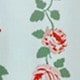 彩色