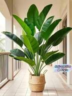 Decoração de Casa