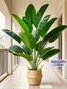 Artificial Tree