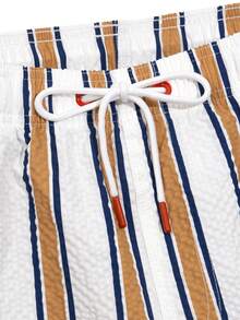 CoralVoy Men's Colorblock Striped Beach Shorts - Rust Brown - View 6