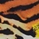 棕色