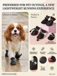 PETSIN 4件組防水寵物狗鞋，吉娃娃防滑雨靴，適合小型貓狗幼犬，寵物鞋套 - 黑色 - 查看 2