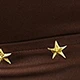 Mocha Brown