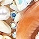 Beige - Conch