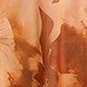 Rust Brown