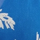 Blue and White
