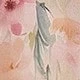彩色