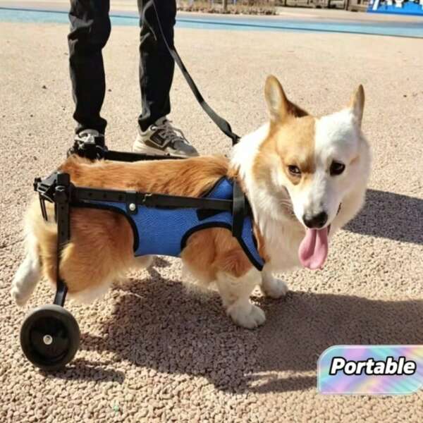 1PC Adjustable Lightweight Durable Pet Dog Wheelchair Mobility Aid With Rear Leg Support For Small Dogs Injury Recovery Indoor Outdoor All Season Rehabilitation Assistant Walking Aid