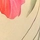 彩色