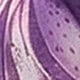 Lilac Purple