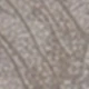 High precision leaves light brown