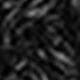 Natural Black