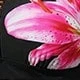 Rosa Fucsia